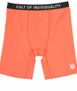 CULT BRIEFS 
